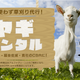 Illustration for article titled You Can Now Rent Goats in Japan